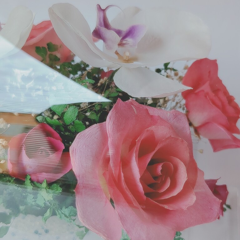 ブリザーブドフラワー　買取入荷しました！