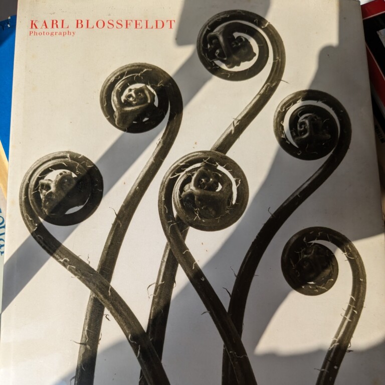 KARL BLOSSFELDT　カール・ブロスフェルト　写真集　買取入荷しました！
